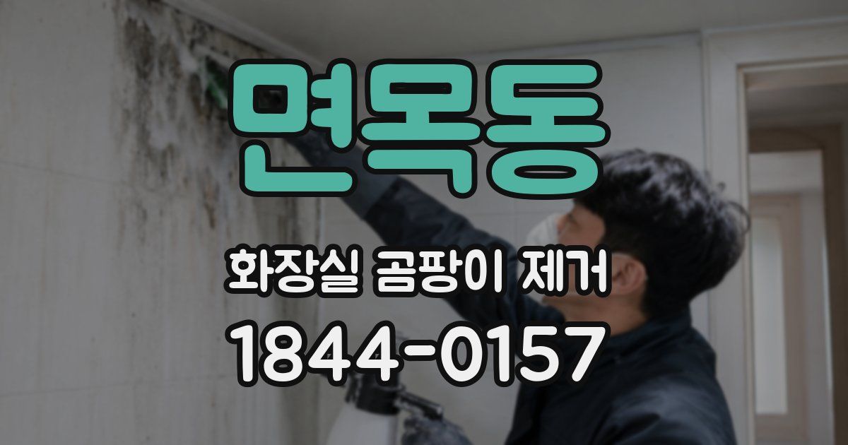 면목동 화장실 곰팡이 제거
