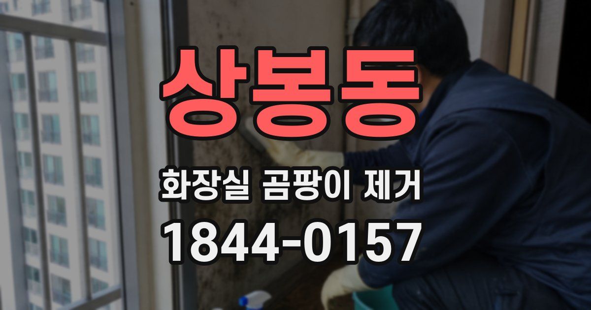 상봉동 화장실 곰팡이 제거