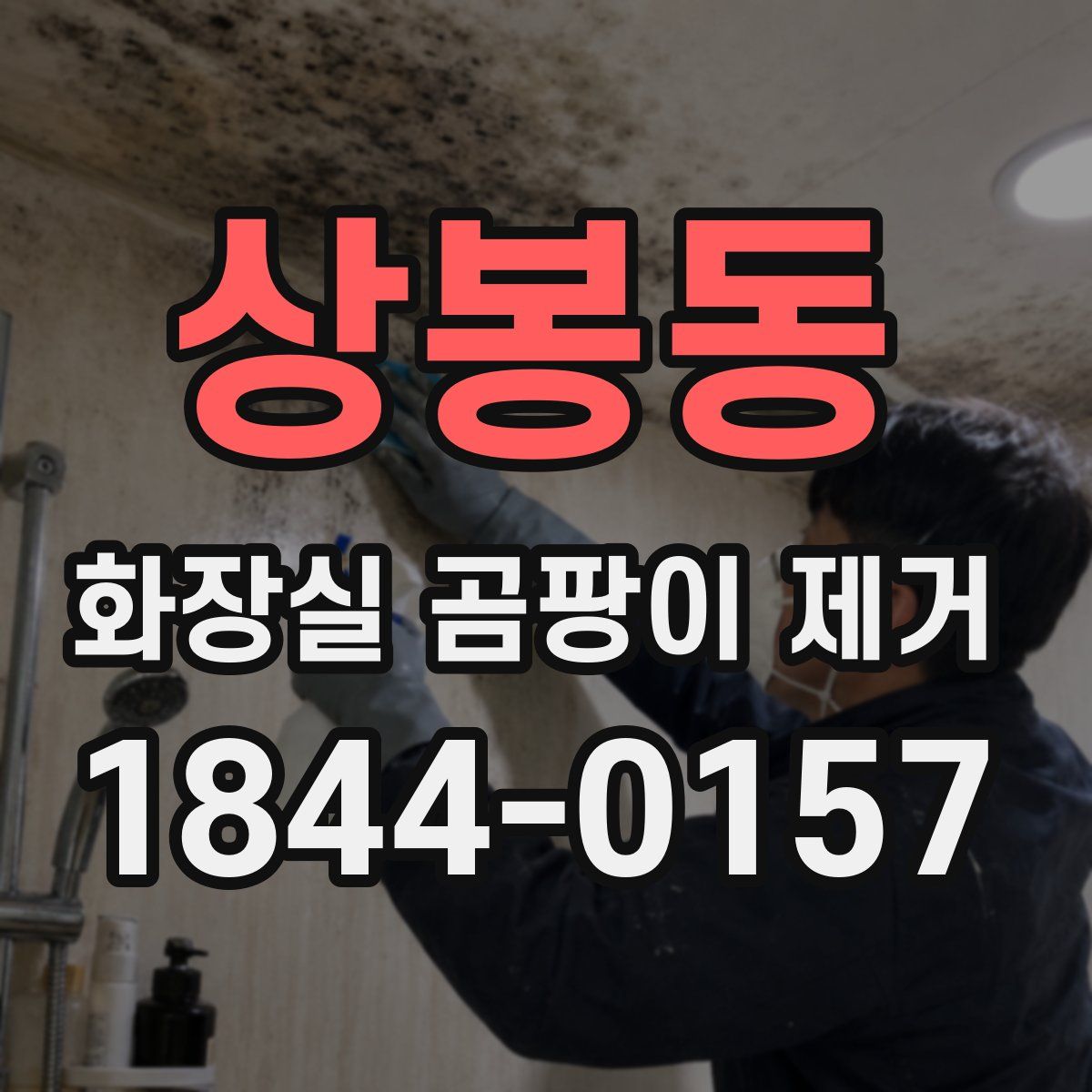 상봉동 화장실 곰팡이 제거
