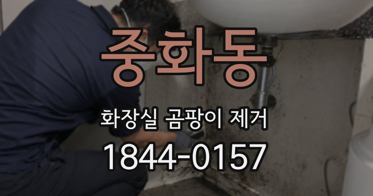 중화동 화장실 곰팡이 제거