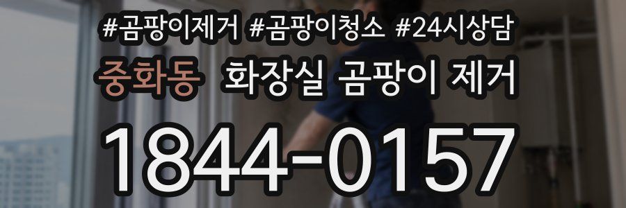중화동 화장실 곰팡이 제거