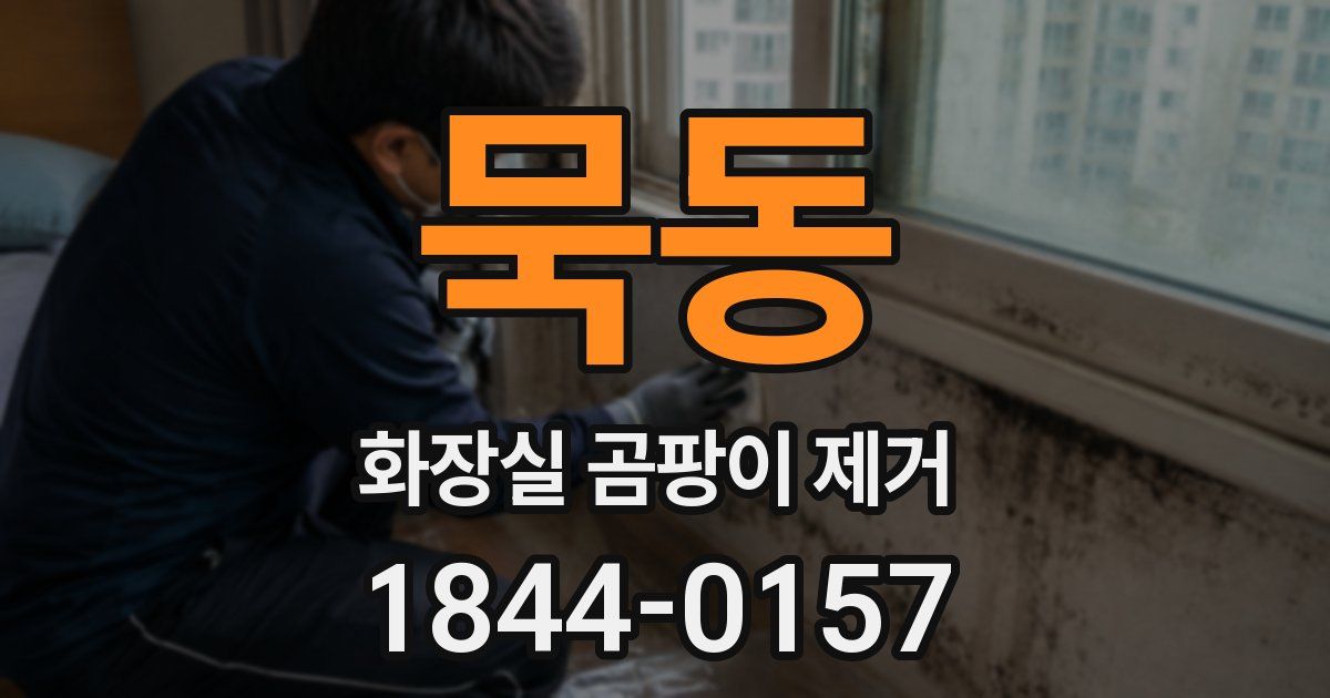 묵동 화장실 곰팡이 제거