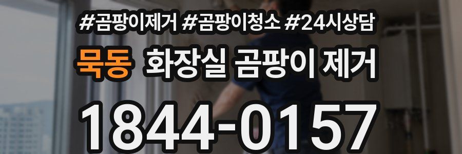 묵동 화장실 곰팡이 제거