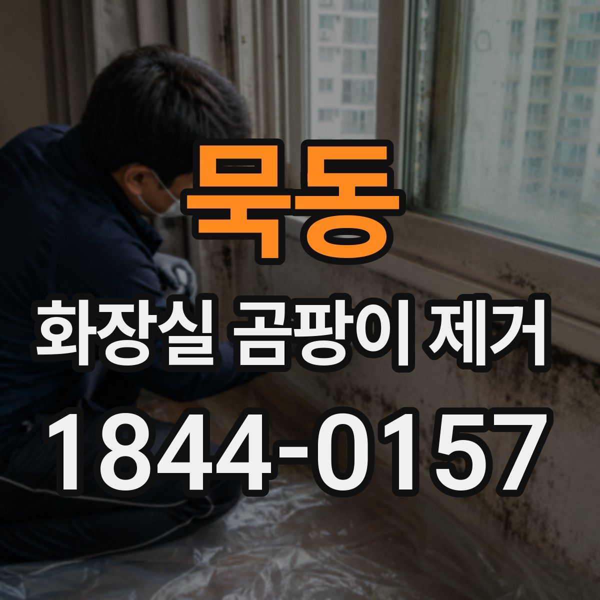 묵동 화장실 곰팡이 제거
