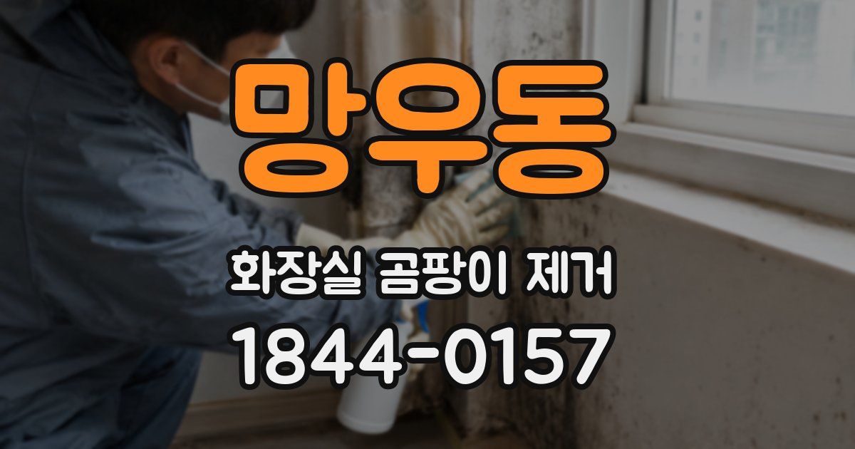 망우동 화장실 곰팡이 제거