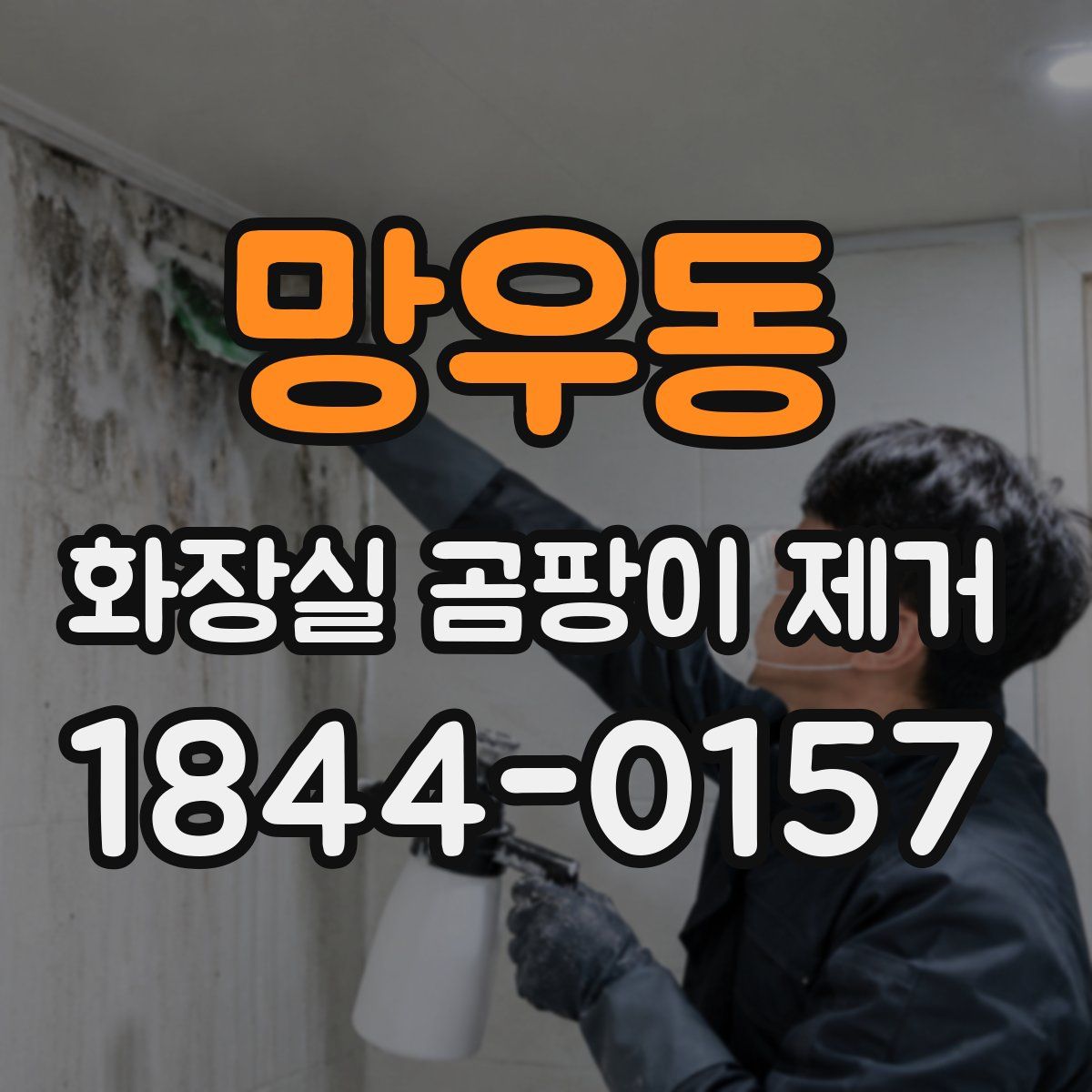 망우동 화장실 곰팡이 제거