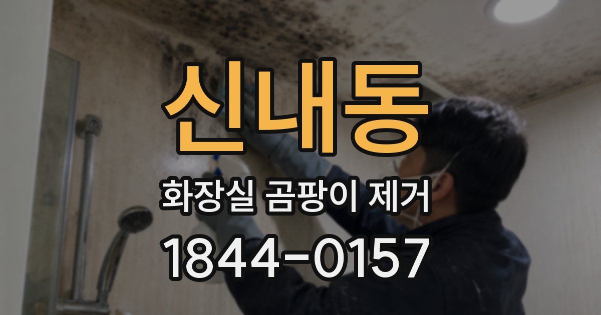 신내동 화장실 곰팡이 제거