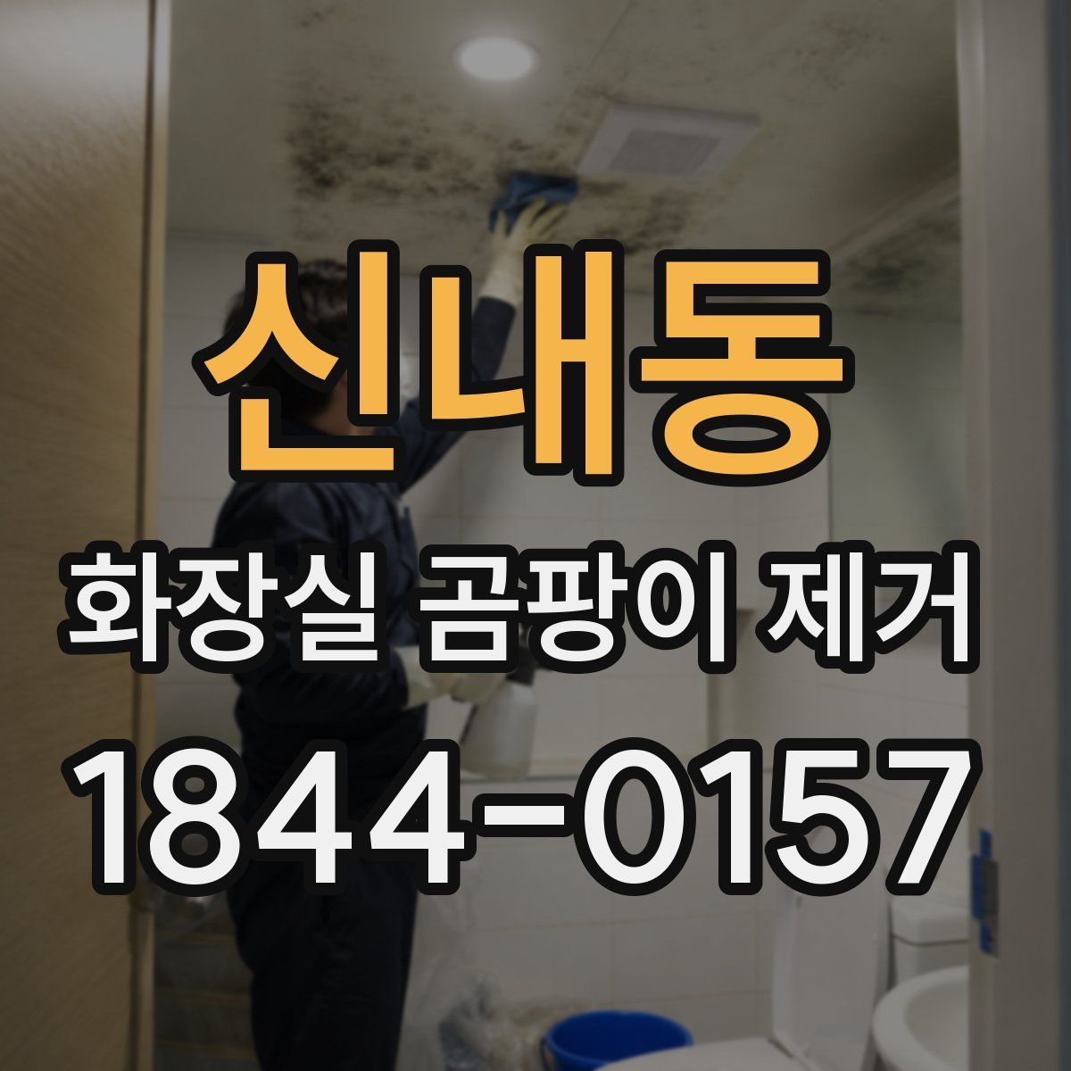 신내동 화장실 곰팡이 제거
