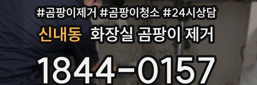 신내동 화장실 곰팡이 제거