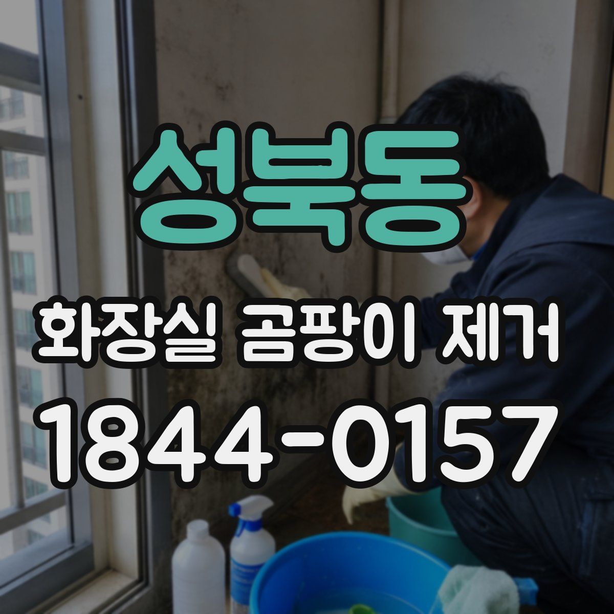 성북동 화장실 곰팡이 제거