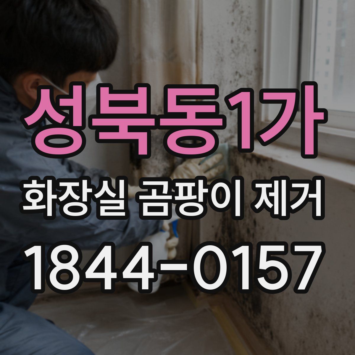 성북동1가 화장실 곰팡이 제거