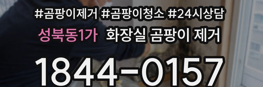 성북동1가 화장실 곰팡이 제거