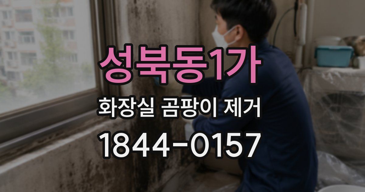 성북동1가 화장실 곰팡이 제거