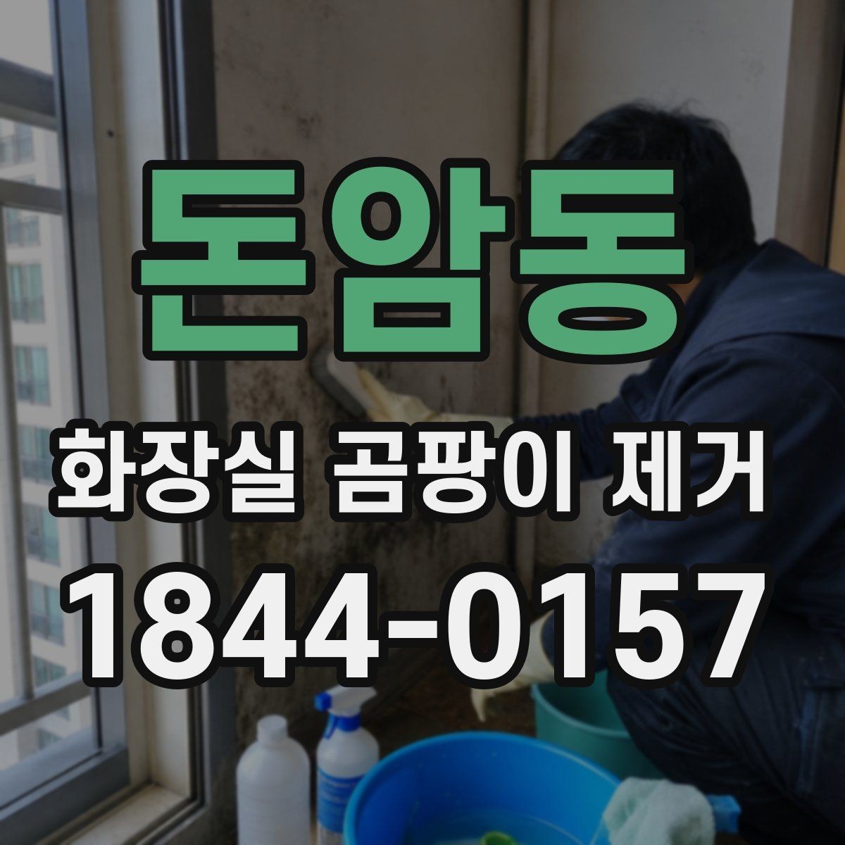 돈암동 화장실 곰팡이 제거 셀프 청소와 전문 작업 차이 살펴보기