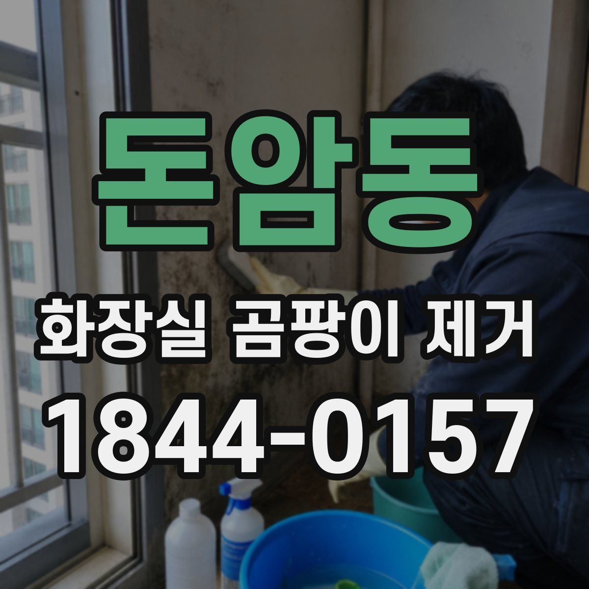 돈암동 화장실 곰팡이 제거