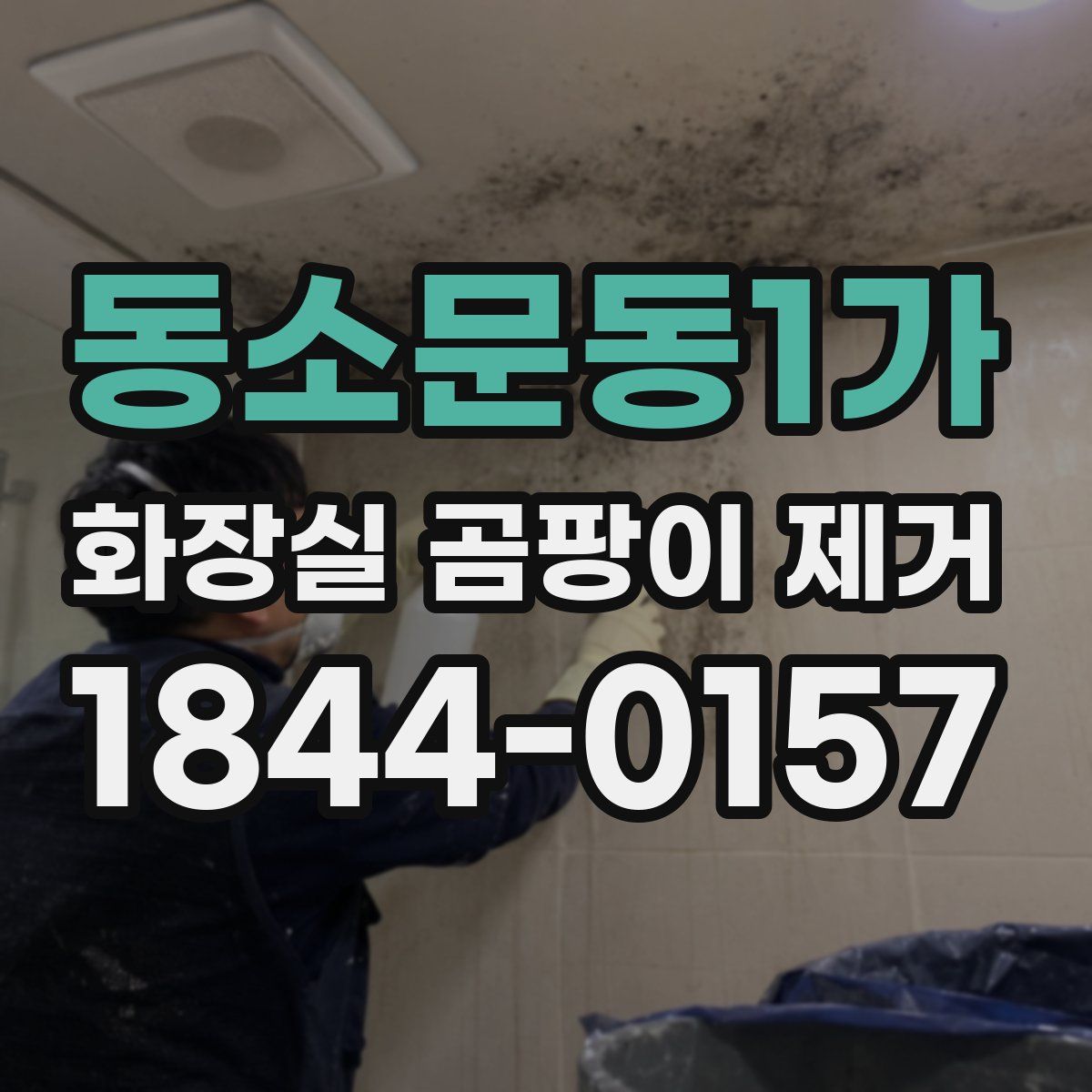 동소문동1가 화장실 곰팡이 제거