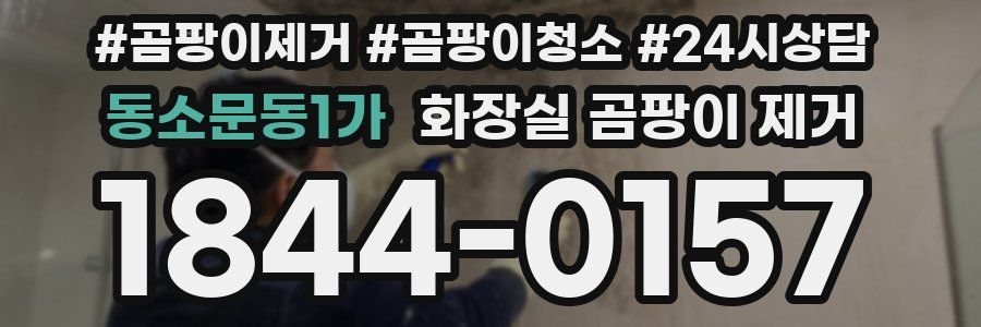 동소문동1가 화장실 곰팡이 제거