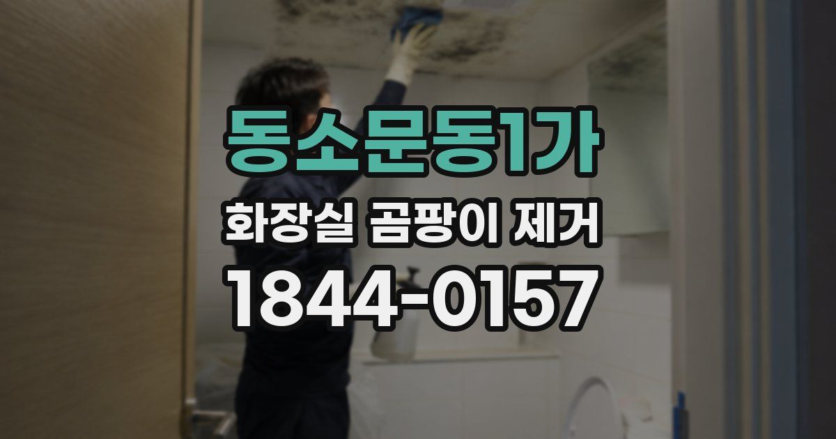 동소문동1가 화장실 곰팡이 제거