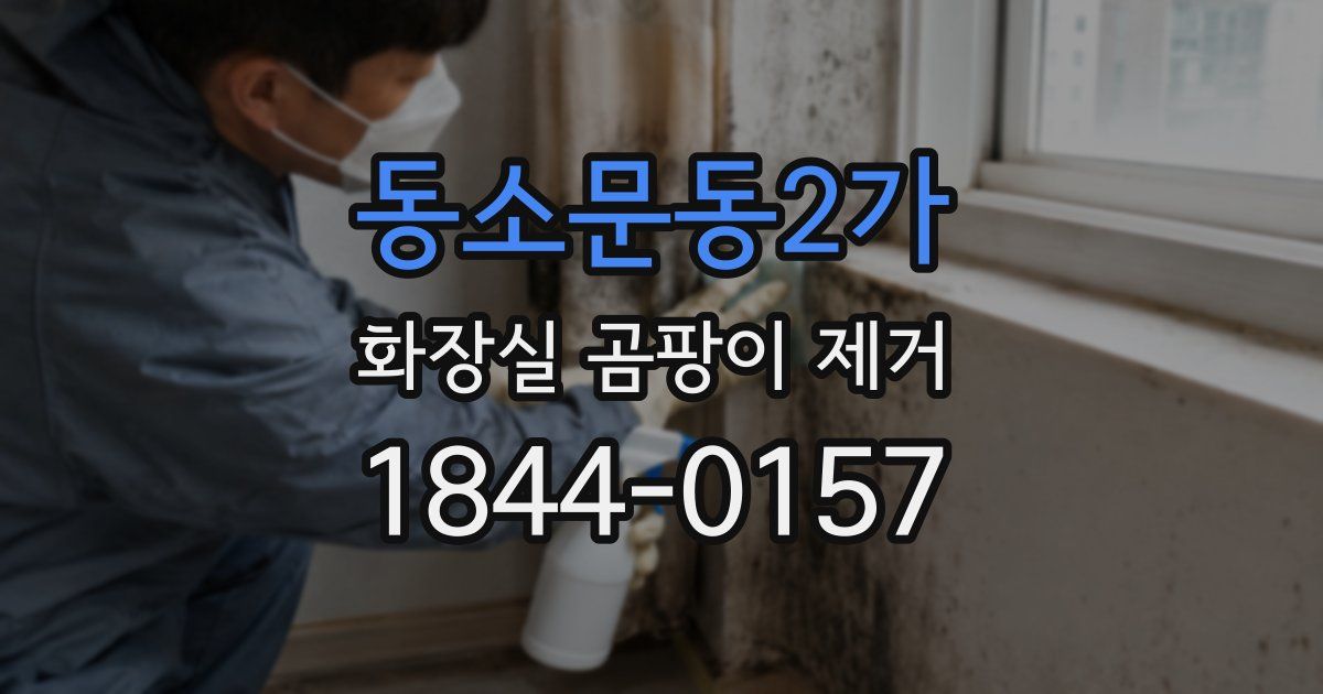 동소문동2가 화장실 곰팡이 제거