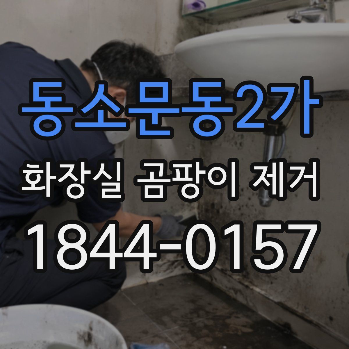 동소문동2가 화장실 곰팡이 제거