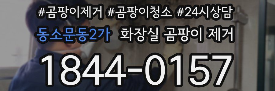 동소문동2가 화장실 곰팡이 제거