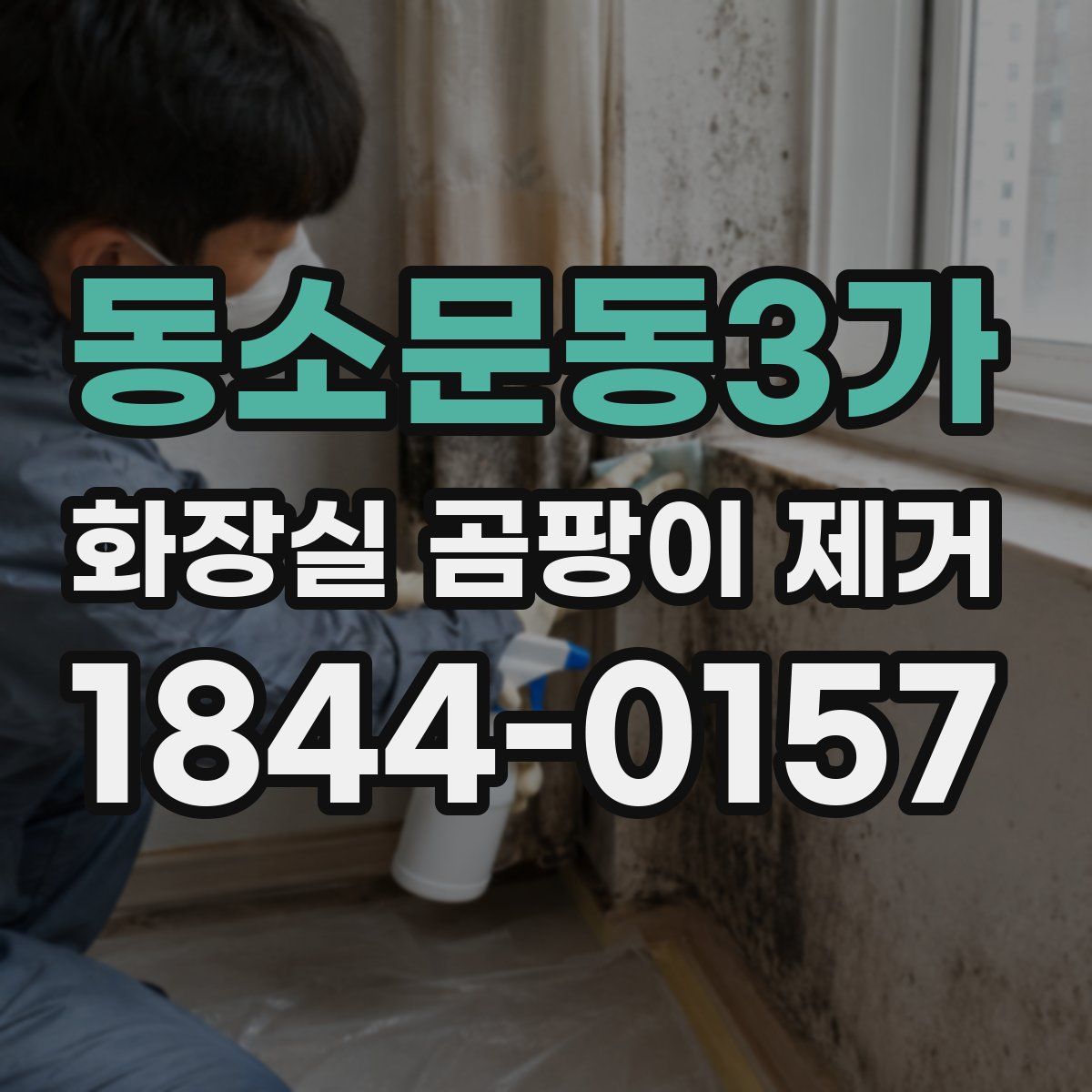동소문동3가 화장실 곰팡이 제거