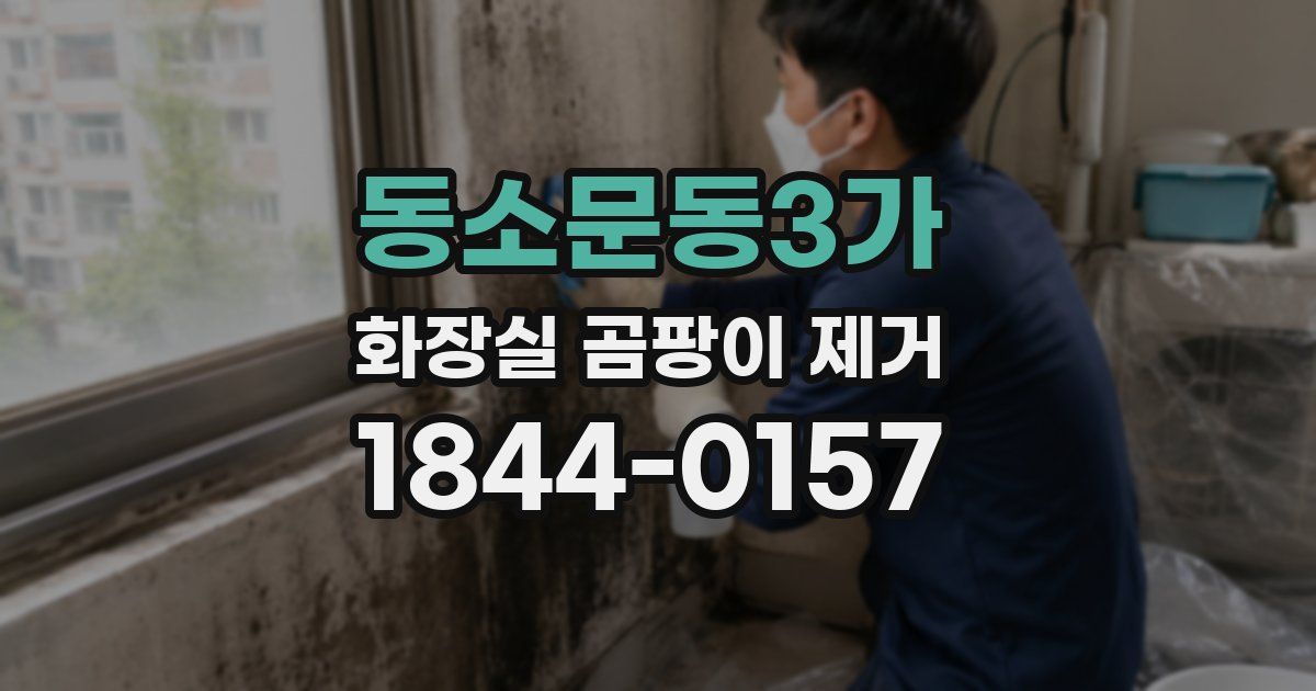 동소문동3가 화장실 곰팡이 제거