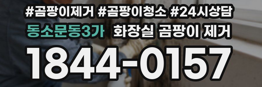 동소문동3가 화장실 곰팡이 제거