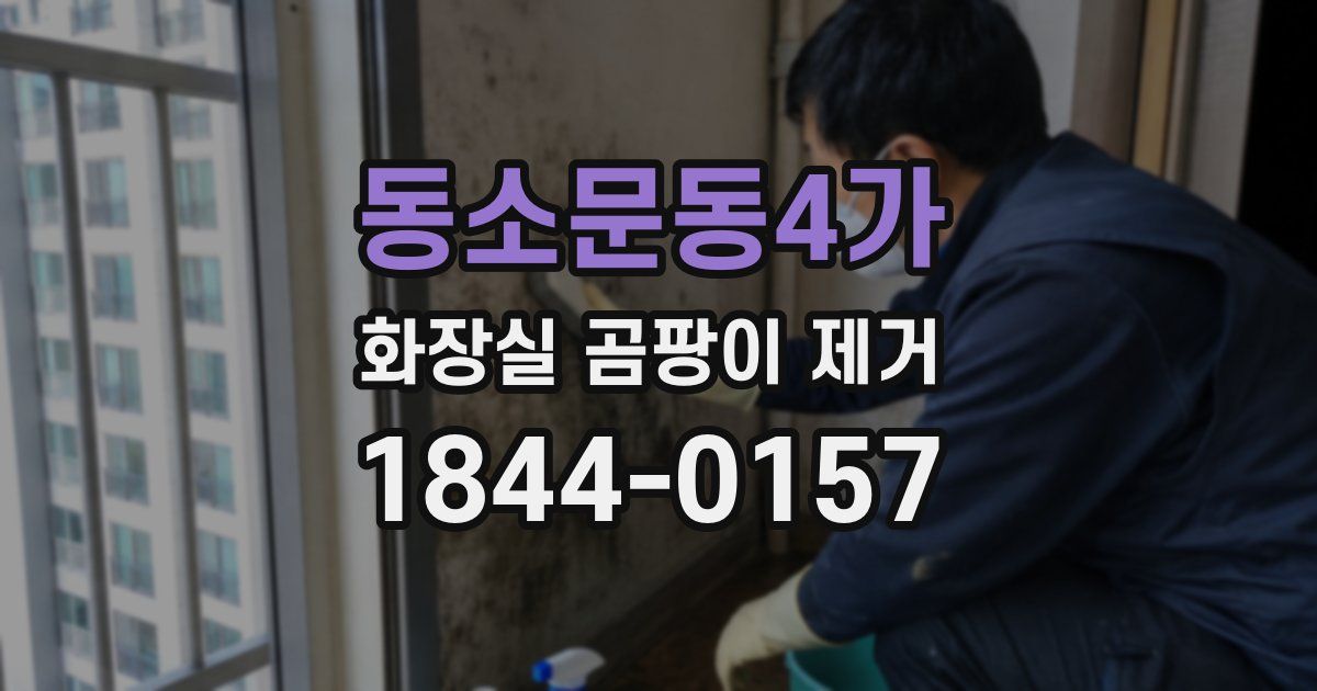 동소문동4가 화장실 곰팡이 제거