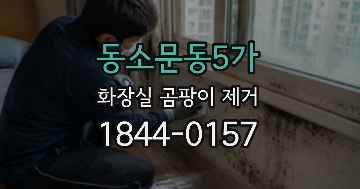 동소문동5가 화장실 곰팡이 제거