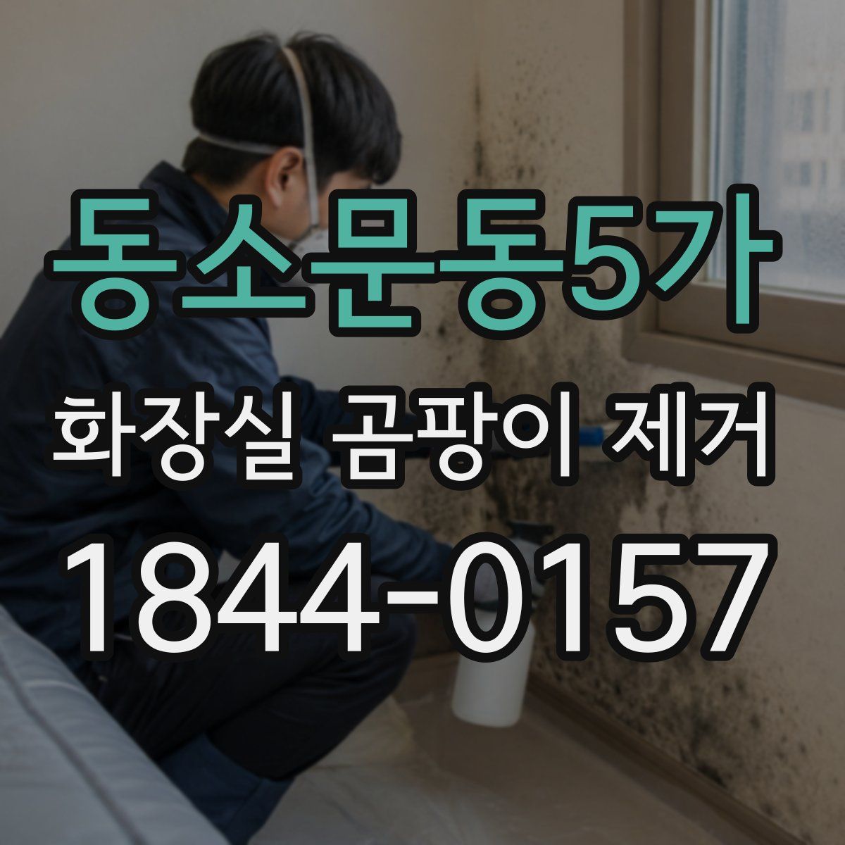 동소문동5가 화장실 곰팡이 제거