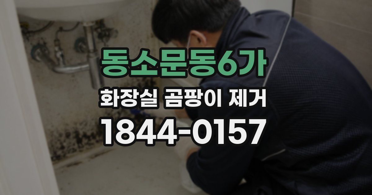 동소문동6가 화장실 곰팡이 제거