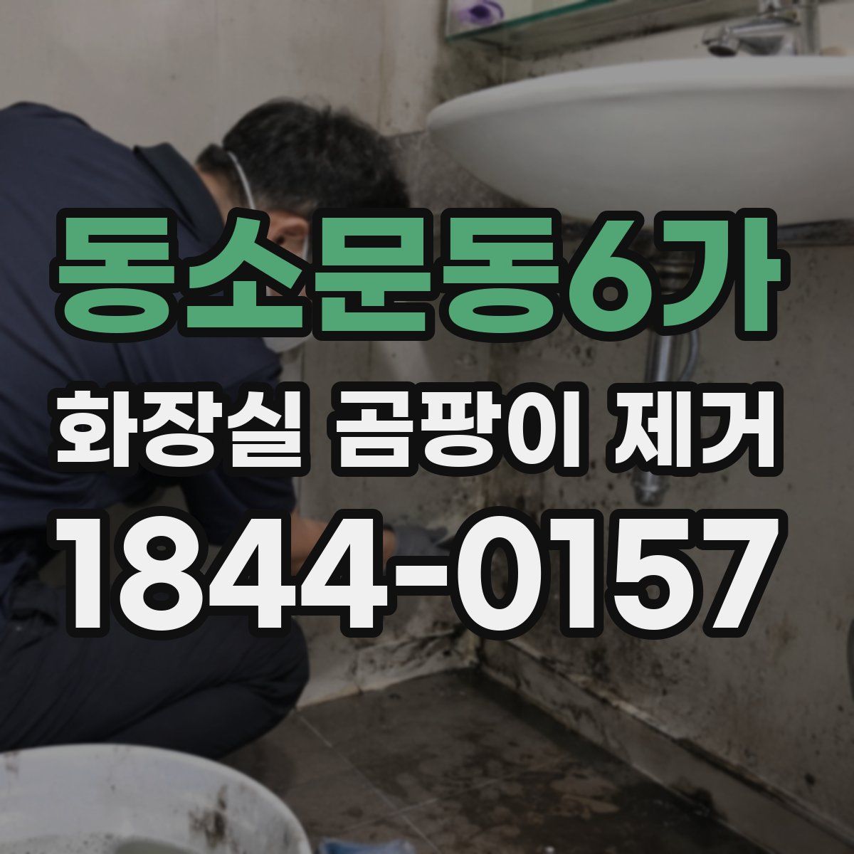 동소문동6가 화장실 곰팡이 제거