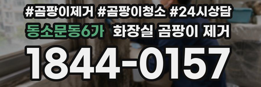 동소문동6가 화장실 곰팡이 제거