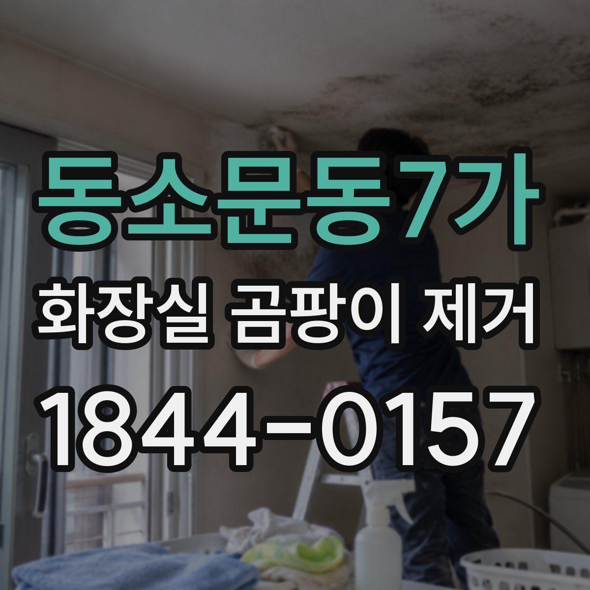 동소문동7가 화장실 곰팡이 제거
