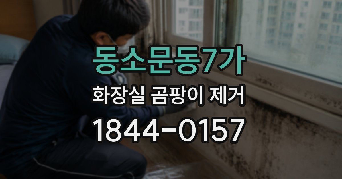 동소문동7가 화장실 곰팡이 제거