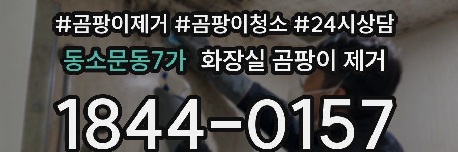 동소문동7가 화장실 곰팡이 제거