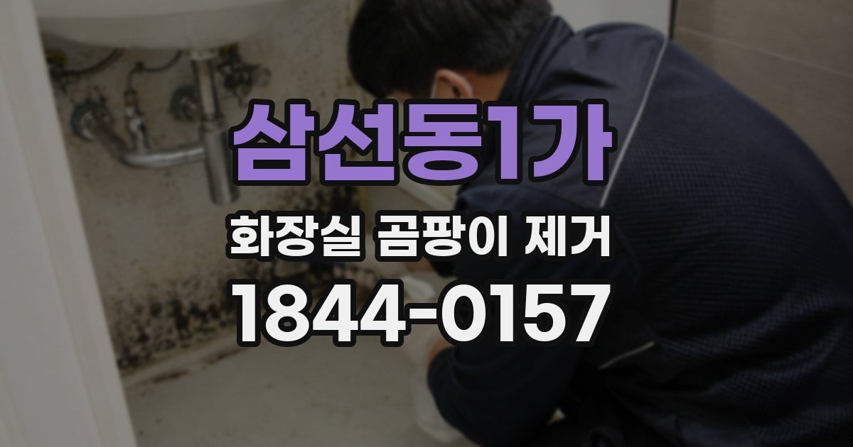 삼선동1가 화장실 곰팡이 제거