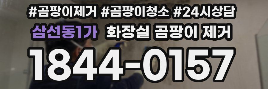 삼선동1가 화장실 곰팡이 제거