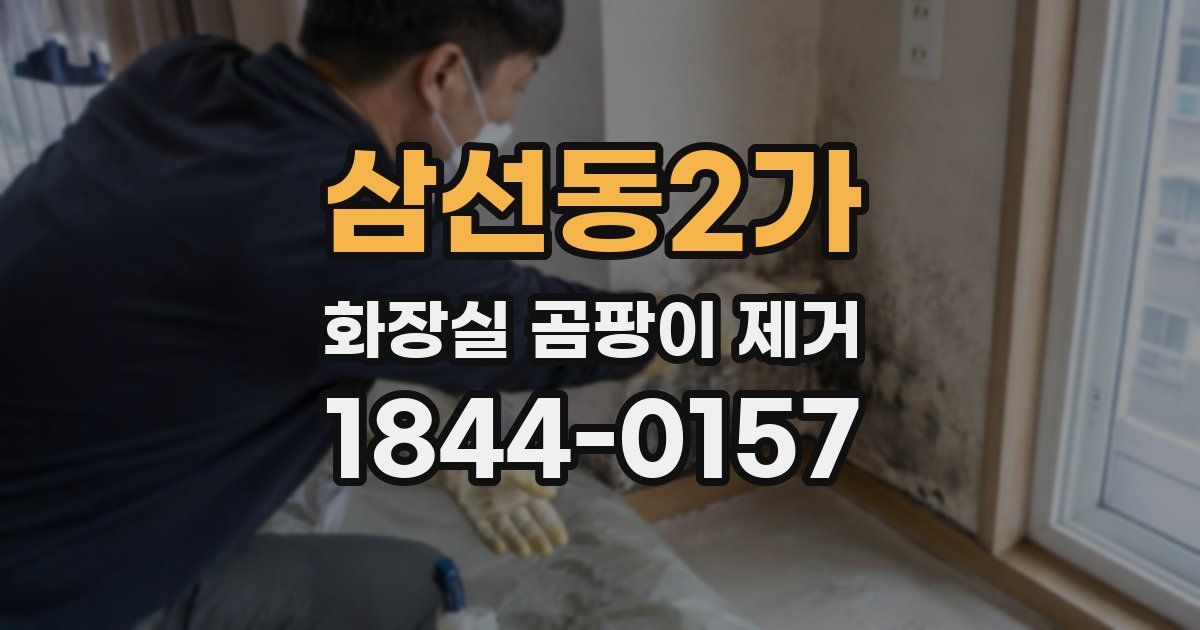 삼선동2가 화장실 곰팡이 제거