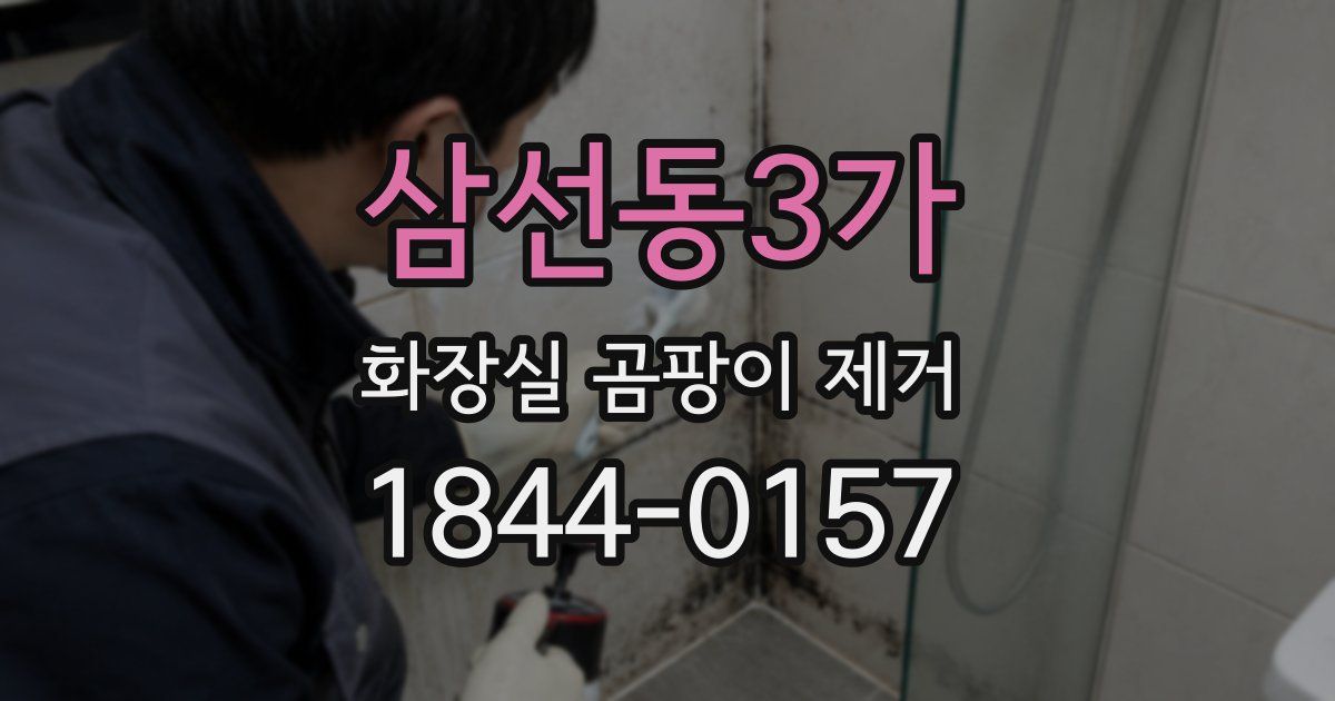 삼선동3가 화장실 곰팡이 제거