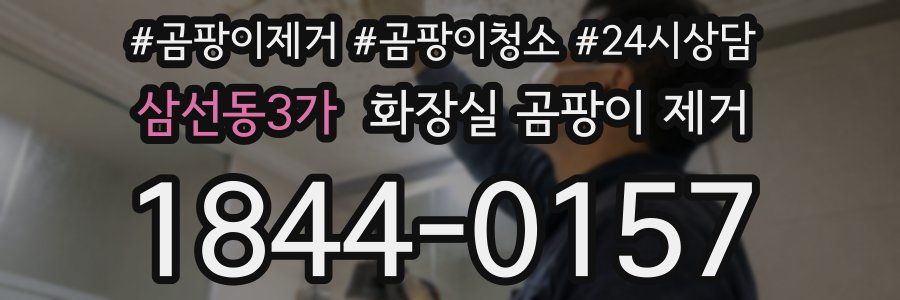 삼선동3가 화장실 곰팡이 제거
