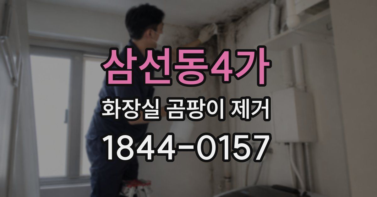 삼선동4가 화장실 곰팡이 제거