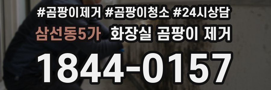 삼선동5가 화장실 곰팡이 제거