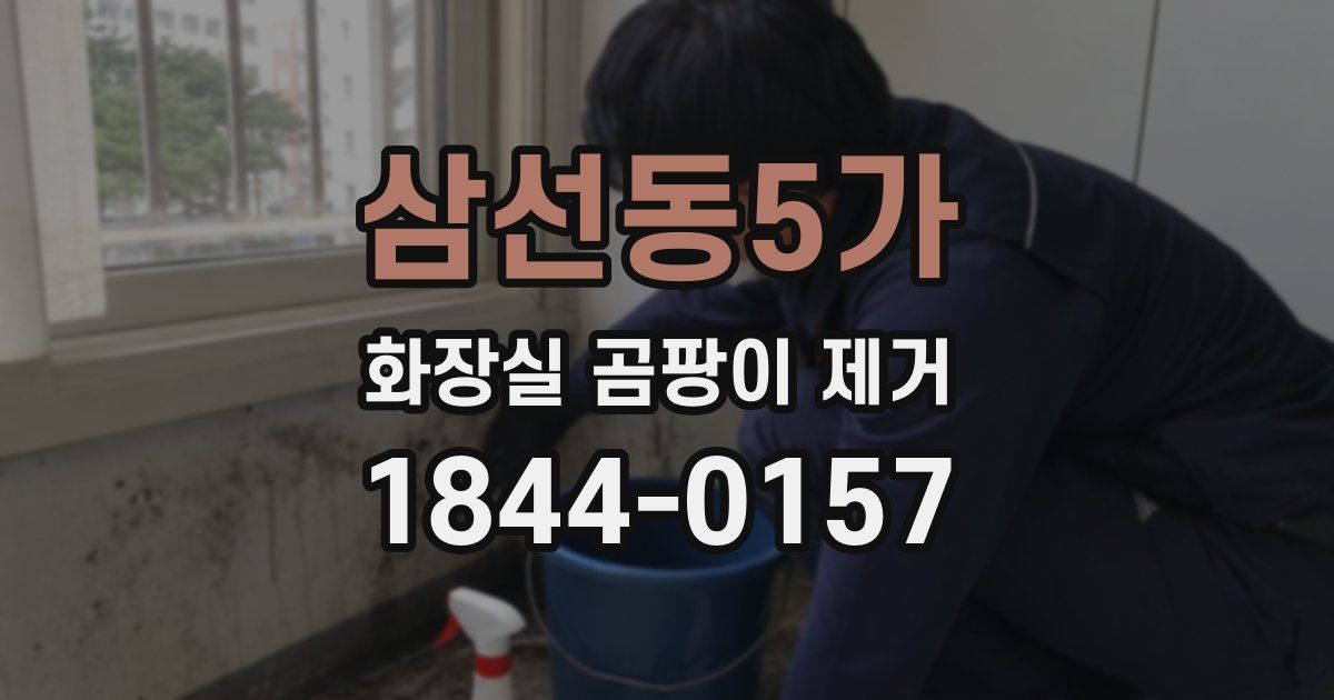 삼선동5가 화장실 곰팡이 제거