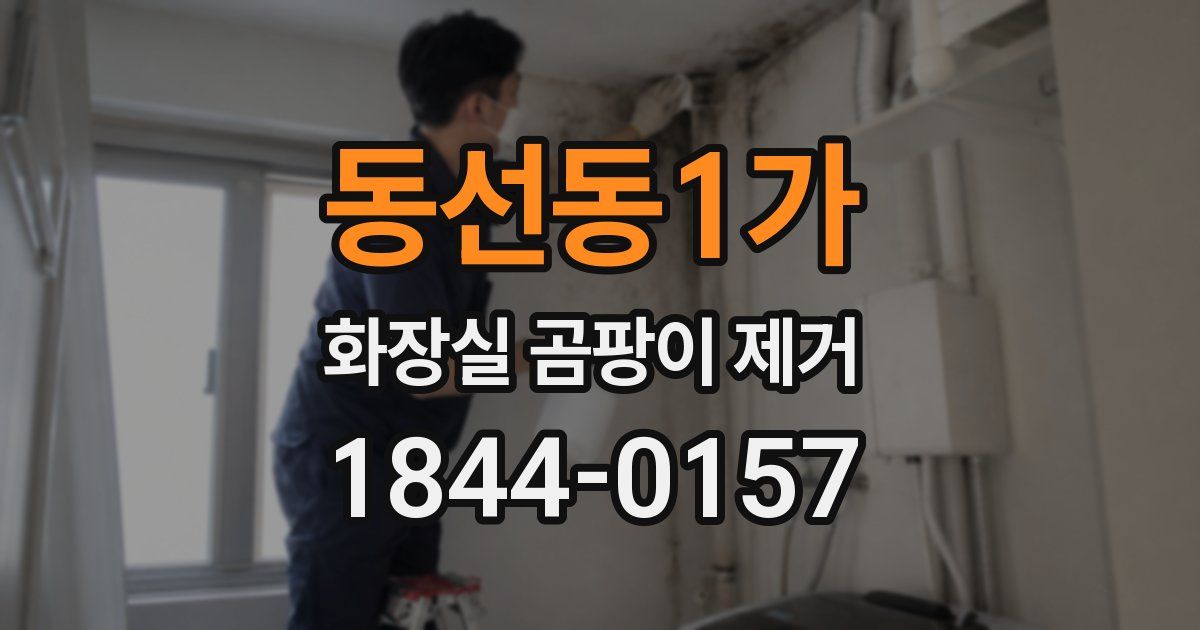동선동1가 화장실 곰팡이 제거