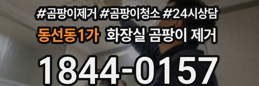 동선동1가 화장실 곰팡이 제거