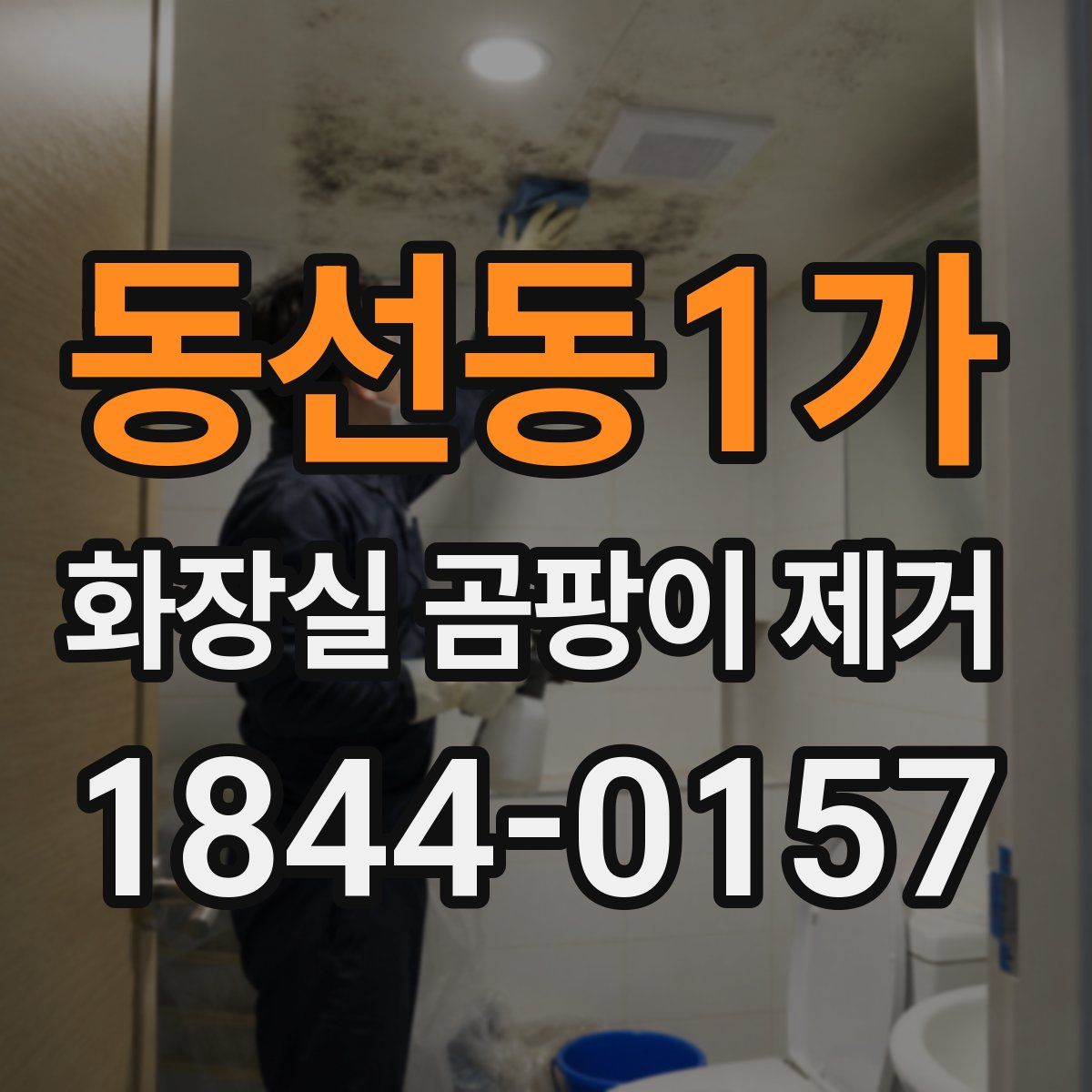 동선동1가 화장실 곰팡이 제거