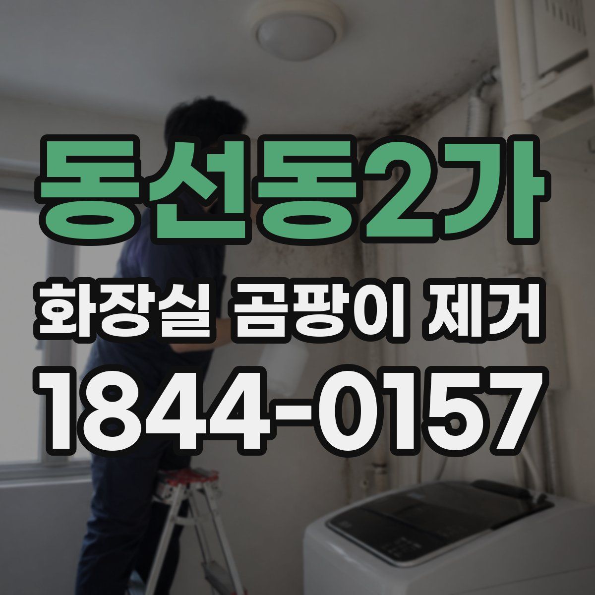 동선동2가 화장실 곰팡이 제거