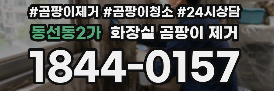 동선동2가 화장실 곰팡이 제거